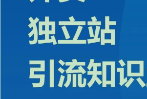 独立站成人用品该如何做推广？如何推广引流？