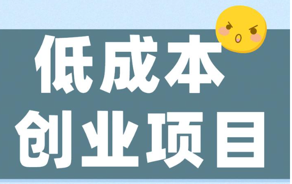 适合2025年低成本发展的创业项目有哪些呢？在如今这个日新月异的时代